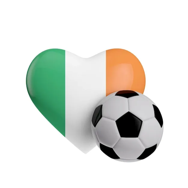 凤凰体育VIP官网品牌形象图